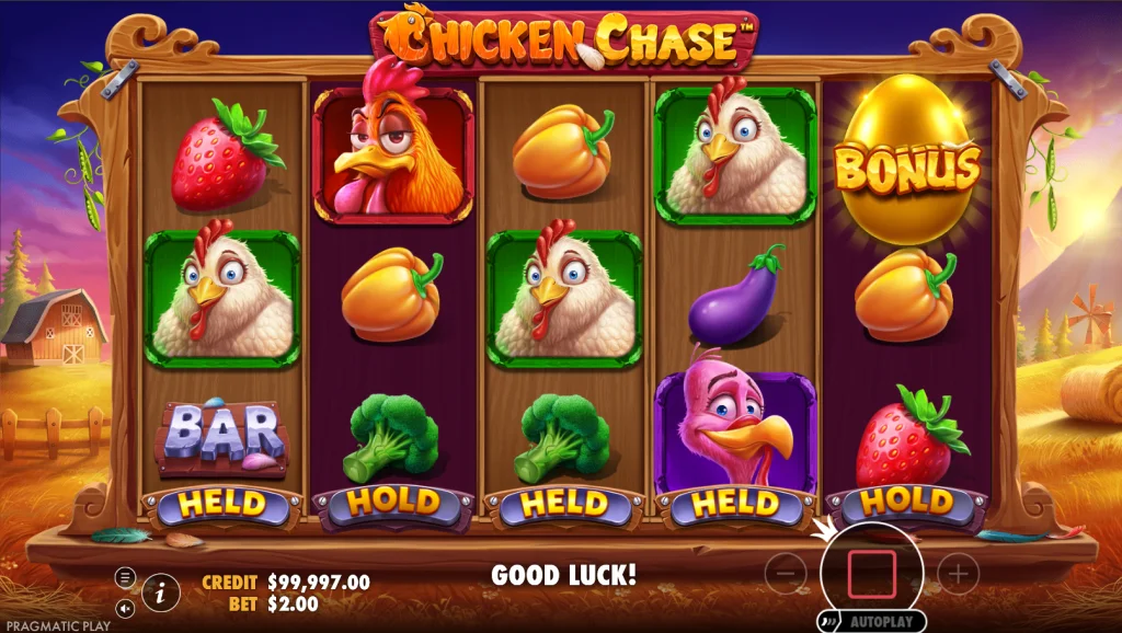 Chicken Chase Bonus